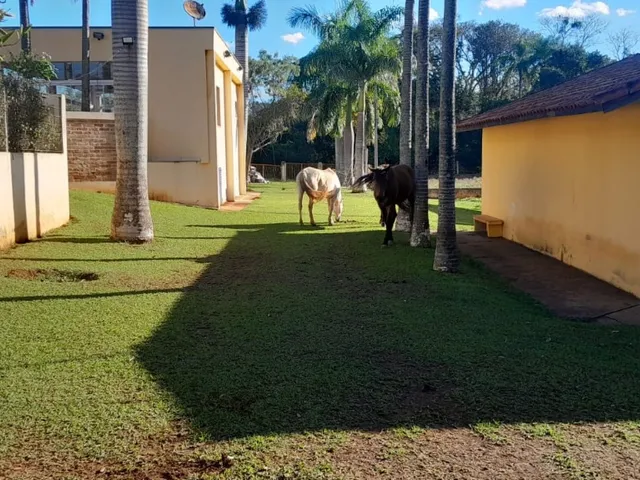 Imagem 4: Sítio de alto padrão à venda em Tatuí-SP, Área Rural: 3 quartos, 2 salas, 2