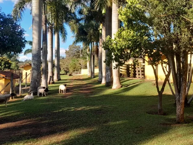 Imagem 16: Sítio de alto padrão à venda em Tatuí-SP, Área Rural: 3 quartos, 2 salas, 2