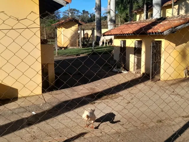 Imagem 2: Sítio de alto padrão à venda em Tatuí-SP, Área Rural: 3 quartos, 2 salas, 2
