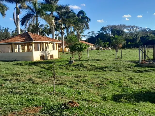 Imagem 7: Sítio de alto padrão à venda em Tatuí-SP, Área Rural: 3 quartos, 2 salas, 2