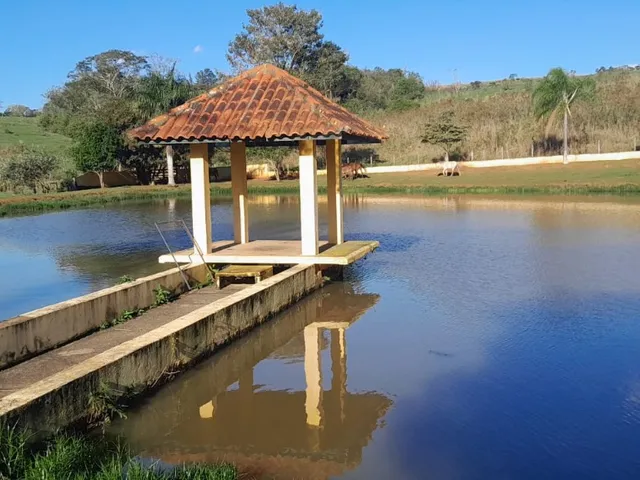 Imagem 15: Sítio de alto padrão à venda em Tatuí-SP, Área Rural: 3 quartos, 2 salas, 2