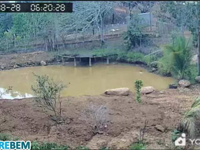 Imagem 3: CHACARA RESIDENCIAL em CARATINGA - MG, CÓRREGO DO PRATA