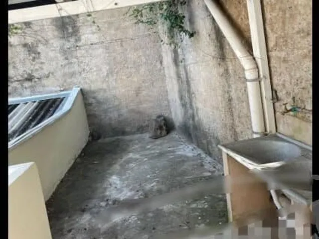 Imagem 3: Casa para alugar no bairro Centro - Poços de Caldas/MG