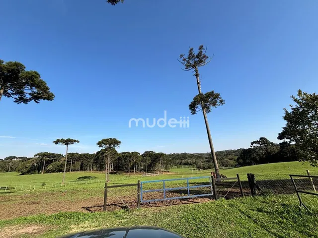 Imagem 2: Fazenda à venda no bairro Campestre da Faxina - São José dos Pinhais/PR
