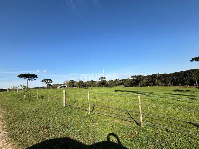 Imagem 3: Fazenda à venda no bairro Campestre da Faxina - São José dos Pinhais/PR