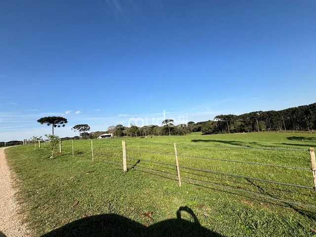 Imagem 7: Fazenda à venda no bairro Campestre da Faxina - São José dos Pinhais/PR