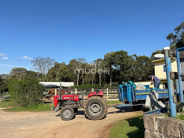 Imagem 10: Fazenda à venda no bairro Campestre da Faxina - São José dos Pinhais/PR