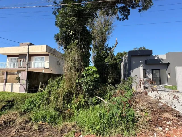 Imagem: Land em Guaratuba - Paraná, Bairro Cohapar