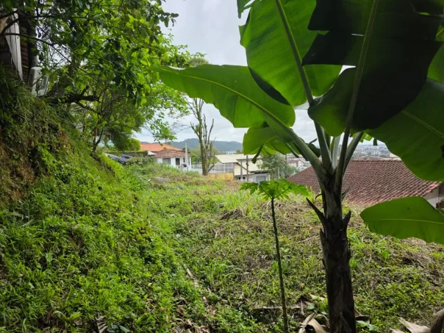Imagem 10: TERRENO RESIDENCIAL em JOINVILLE - SC, IRIRIÚ