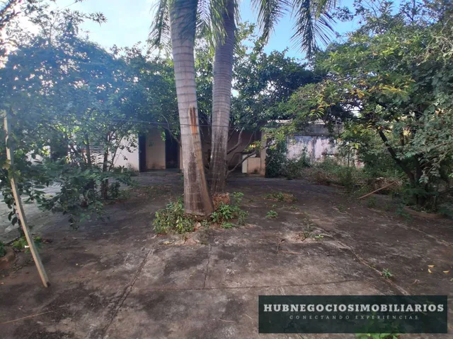 Imagem 6: Casa à venda em Montes Claros, Edgar Pereira, com 5 quartos, 1136m²