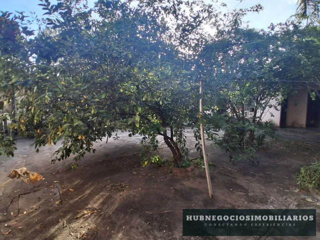 Imagem 7: Casa à venda em Montes Claros, Edgar Pereira, com 5 quartos, 1136m²