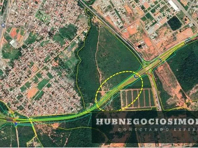 Imagem 3: Área de 507.000 m² às Margens da BR – Loteamento Aprovado com 201 Lotes