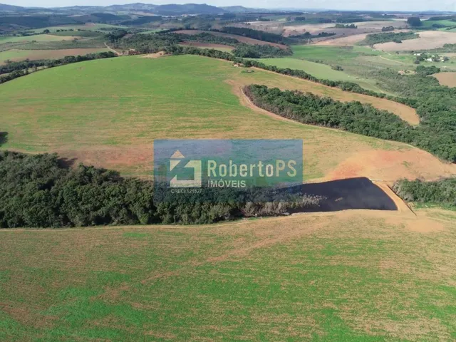 Imagem 3: Em busca de uma fazenda com excelente localização e potencial produtivo próximo a São