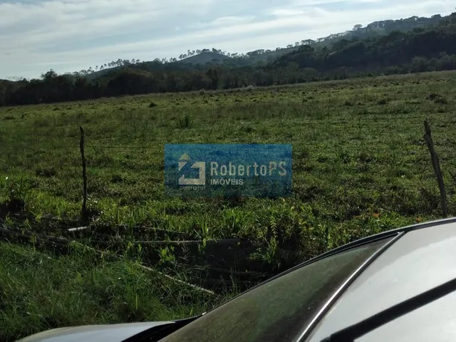 Imagem 2: Venha conhecer essa incrível fazenda localizada em uma região privilegiada, com fácil