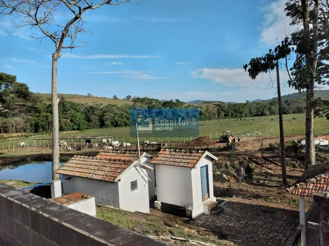 Imagem 4: Venha conhecer essa incrível fazenda localizada em uma região privilegiada, com fácil
