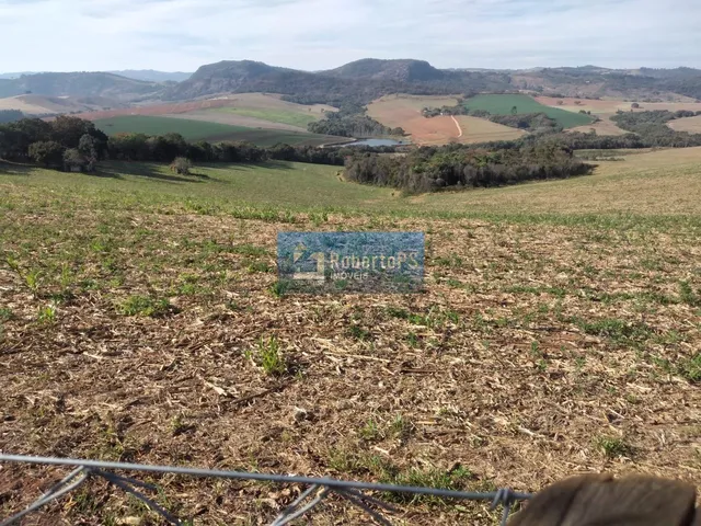 Imagem 4: Maravilhosa oportunidade de investimento! Esta incrível fazenda de 48 alqueires está