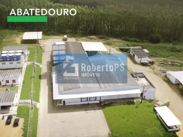 Imagem: OPORTUNIDADE DE INVESTIMENTO Complexo Agroindustrial