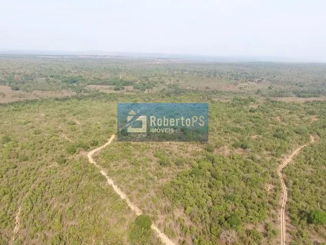 Imagem 6: Se você sempre sonhou em viver no campo, em meio à natureza e com muito espaço para
