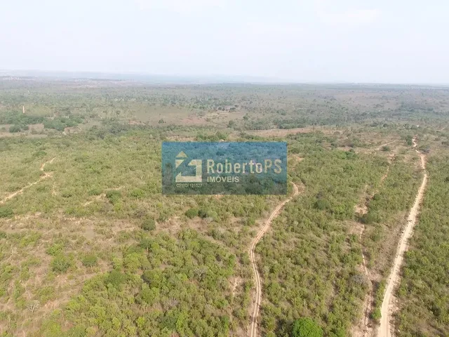 Imagem 7: Se você sempre sonhou em viver no campo, em meio à natureza e com muito espaço para