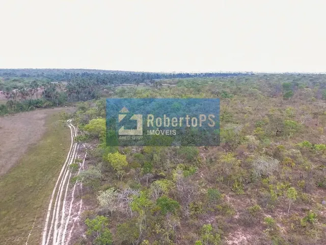 Imagem 8: Se você sempre sonhou em viver no campo, em meio à natureza e com muito espaço para