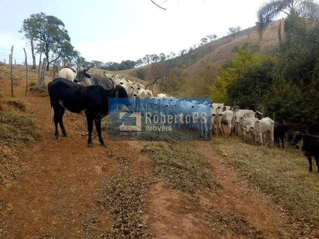 Imagem 6: INCRÍVEL FAZENDA À VENDA! Se você sempre sonhou em viver em meio à natureza, com