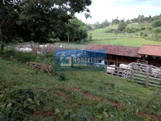 Imagem 12: INCRÍVEL FAZENDA À VENDA! Se você sempre sonhou em viver em meio à natureza, com