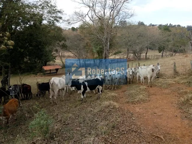 Imagem 7: INCRÍVEL FAZENDA À VENDA! Se você sempre sonhou em viver em meio à natureza, com