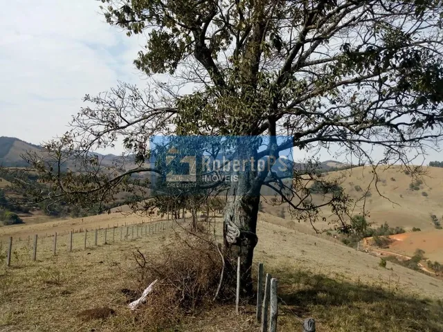 Imagem 2: INCRÍVEL FAZENDA À VENDA! Se você sempre sonhou em viver em meio à natureza, com