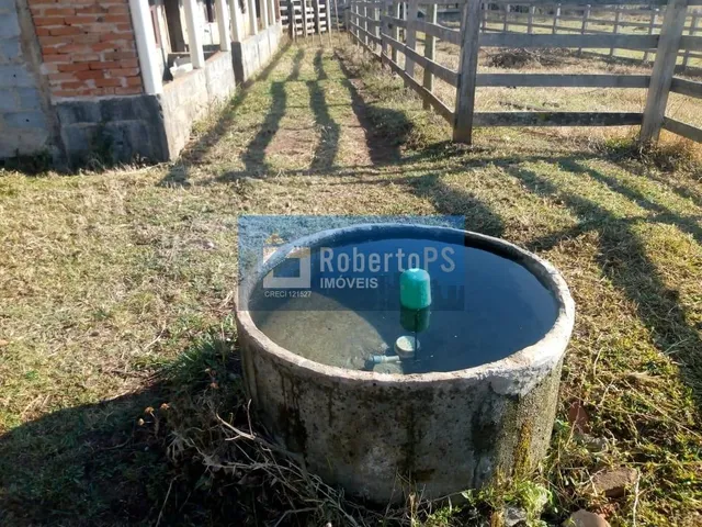 Imagem 11: INCRÍVEL FAZENDA À VENDA! Se você sempre sonhou em viver em meio à natureza, com