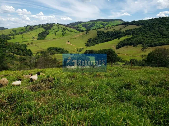 Imagem: Venda R$ 5.500.000,00 73 hectares Capitólio