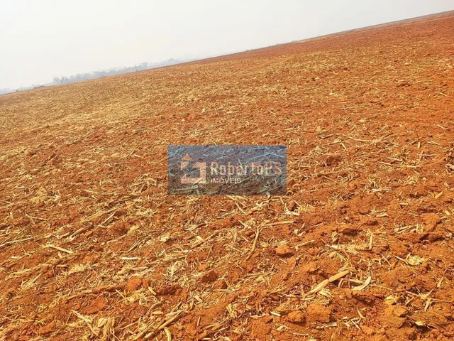 Imagem: Fazenda à venda na Região de Confresa
