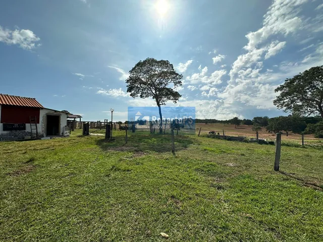 Imagem 5: FAZENDA DE 1303,43 HECTARES NO CORAÇÃO DE GENERAL CARNEIRO MT Se você está em busca