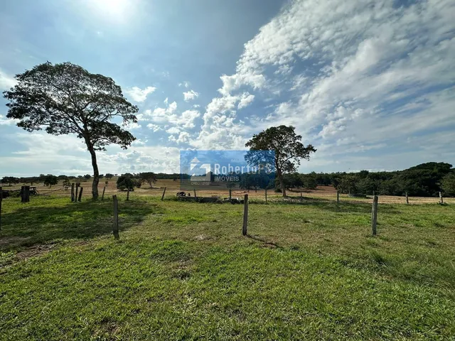 Imagem 6: FAZENDA DE 1303,43 HECTARES NO CORAÇÃO DE GENERAL CARNEIRO MT Se você está em busca