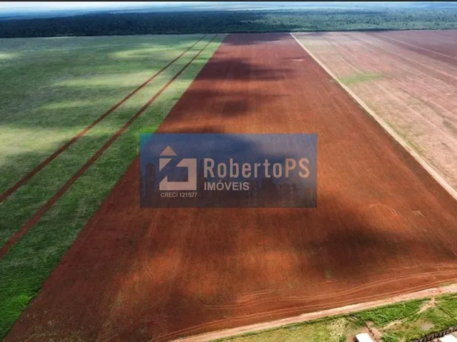 Imagem: Fazenda Água Limpa região de Paranatinga-MT