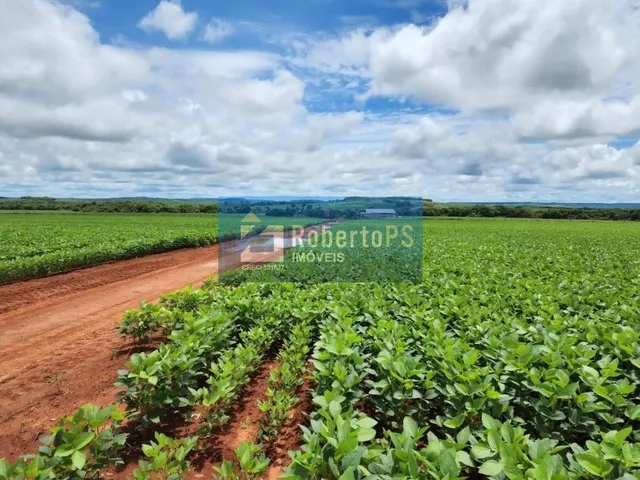 Imagem 3: Fazenda Rio Couto Região Água Boa MT Área de 1.033 hec Área aberta 750 hec Área em
