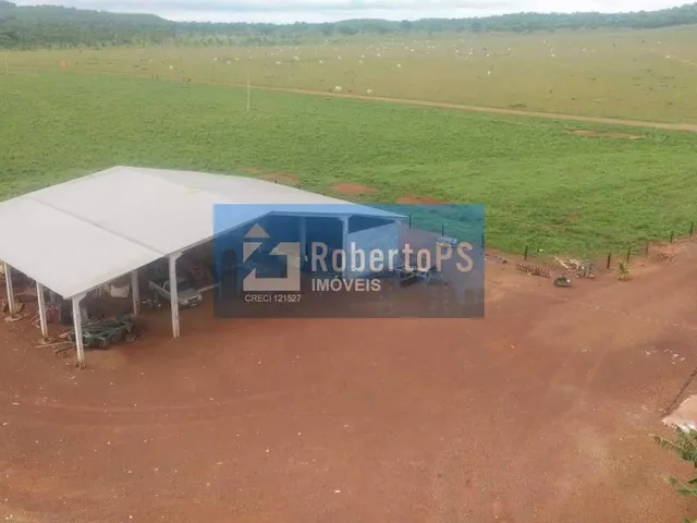 Imagem 2: Fazenda Rio Couto Região Água Boa MT Área de 1.033 hec Área aberta 750 hec Área em
