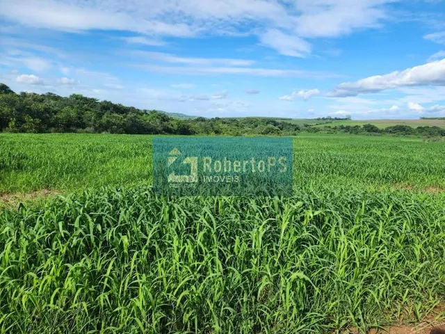 Imagem 4: Fazenda Rio Couto Região Água Boa MT Área de 1.033 hec Área aberta 750 hec Área em