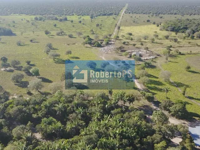 Imagem: Linda fazenda à venda! Localizada na margem