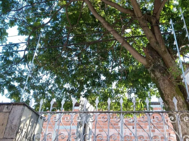 Imagem 11: 0 Loja com 3 dormitórios