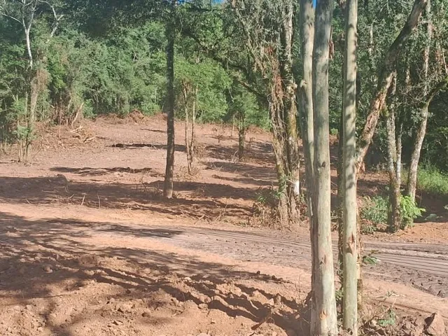 Imagem: Sitios Em Veranópolis - Sitios Em Veranópolis