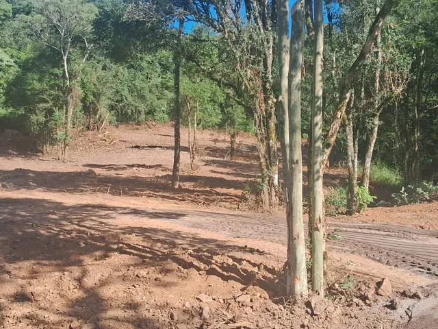 Imagem 10: Sitios Em Veranópolis - Sitios Em Veranópolis