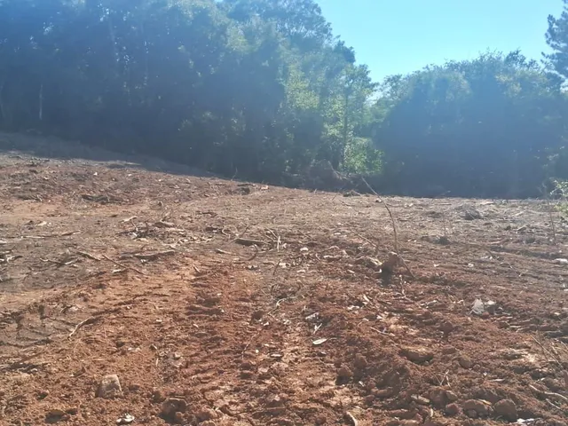 Imagem 5: Sitios Em Veranópolis - Sitios Em Veranópolis