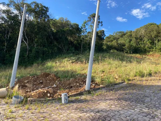 Imagem 5: Terreno 01 - Vale dos Pinheiros - Terreno 01 - Vale dos Pinheiros