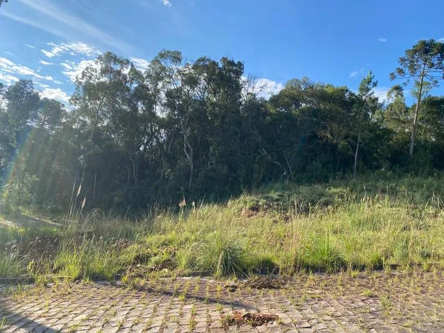 Imagem 3: Terreno 01 - Vale dos Pinheiros - Terreno 01 - Vale dos Pinheiros
