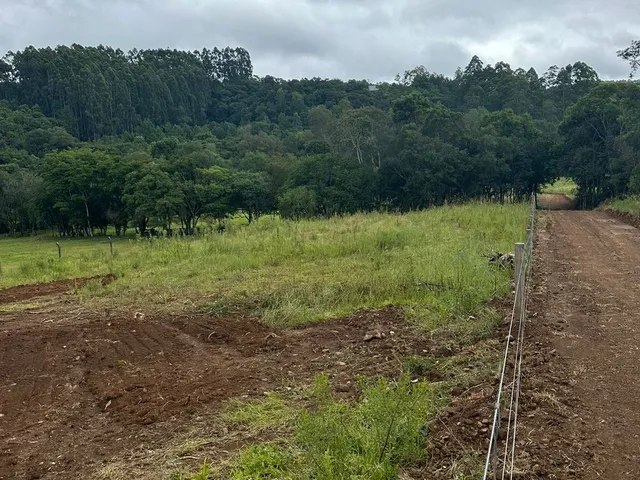Imagem 7: Sitios em Veranópolis - Sitios em Veranópolis