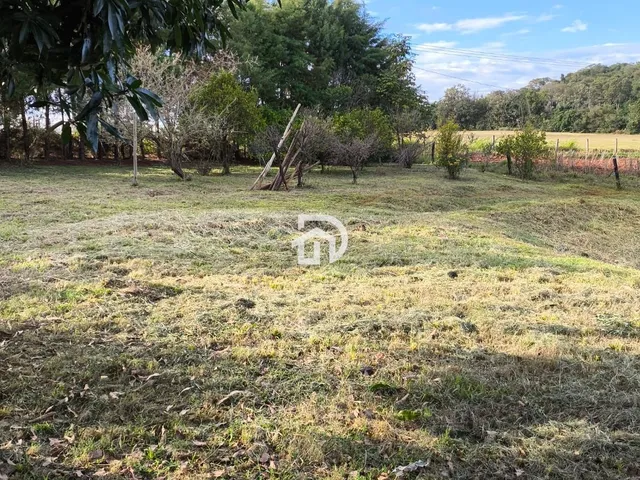 Imagem 13: Chácara 3 dormitórios à venda Área Rural Distrito de São Clemente Santa Helena/PR