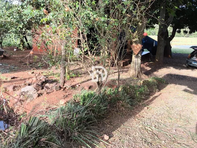 Imagem 6: Chácara 3 dormitórios à venda Área Rural Distrito de São Clemente Santa Helena/PR