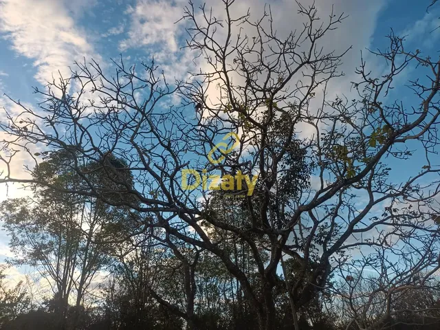 Imagem 3: CHACÁRA A VENDA NO BAIRRO RIACHO DE AREIA NO MUNICIPIO DE INHAÚMA/MG