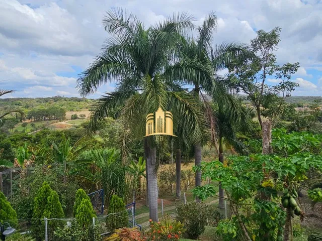 Imagem 13: SITIO A VENDA EM CARACÓIS ESMERALDAS/MG