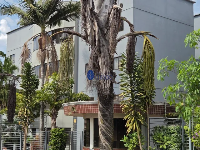 Imagem 13: Apartamento para Alugar no Cidade Jardim │ Residencial Maria Luiza │Anápolis